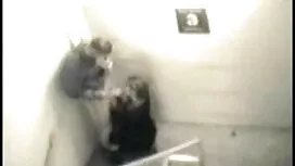الكاميرا الشبكية الأ ...