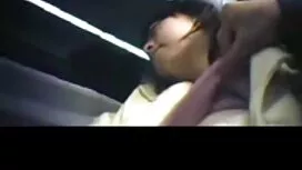 كلب في مقاطع فيديو س ...