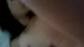 طعام القطط ثنائي الج ...