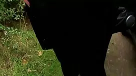 فتاتان هربتا من المن ...