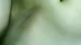 صوت لطيف مقاطع فيديو ...