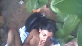الجمال الغنيمة غير ا ...